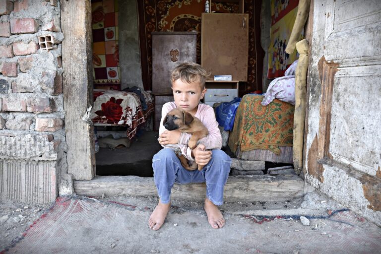 Tomasz Okoniewski - 01_Okoniewski_Tomasz_Adas-dog